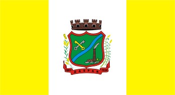 Bandeira do Mun�cipio de Gaspar