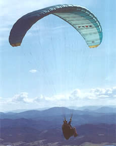 Morro Pelado (Morro da Cruz)