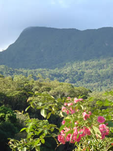 Parque Ecol�gico do Morro do Ba�